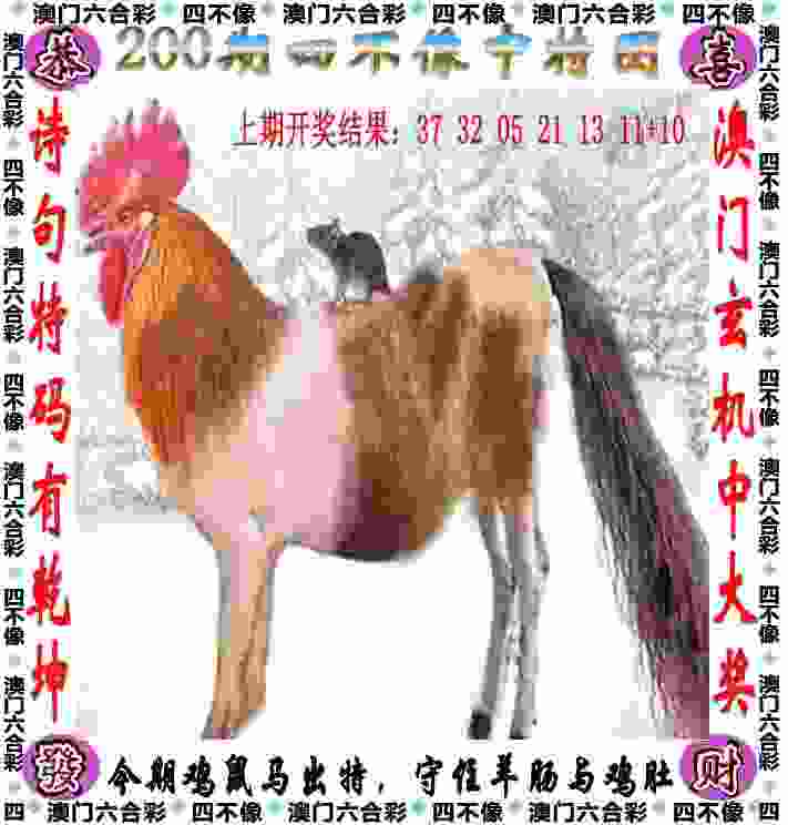 世界女排联赛北京站揭幕 新一届中国女排首秀迎开门红